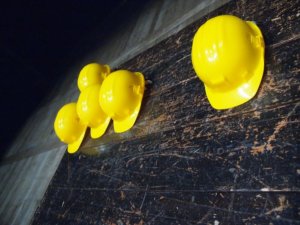 hard hats in preparation for construction procurement opportunities