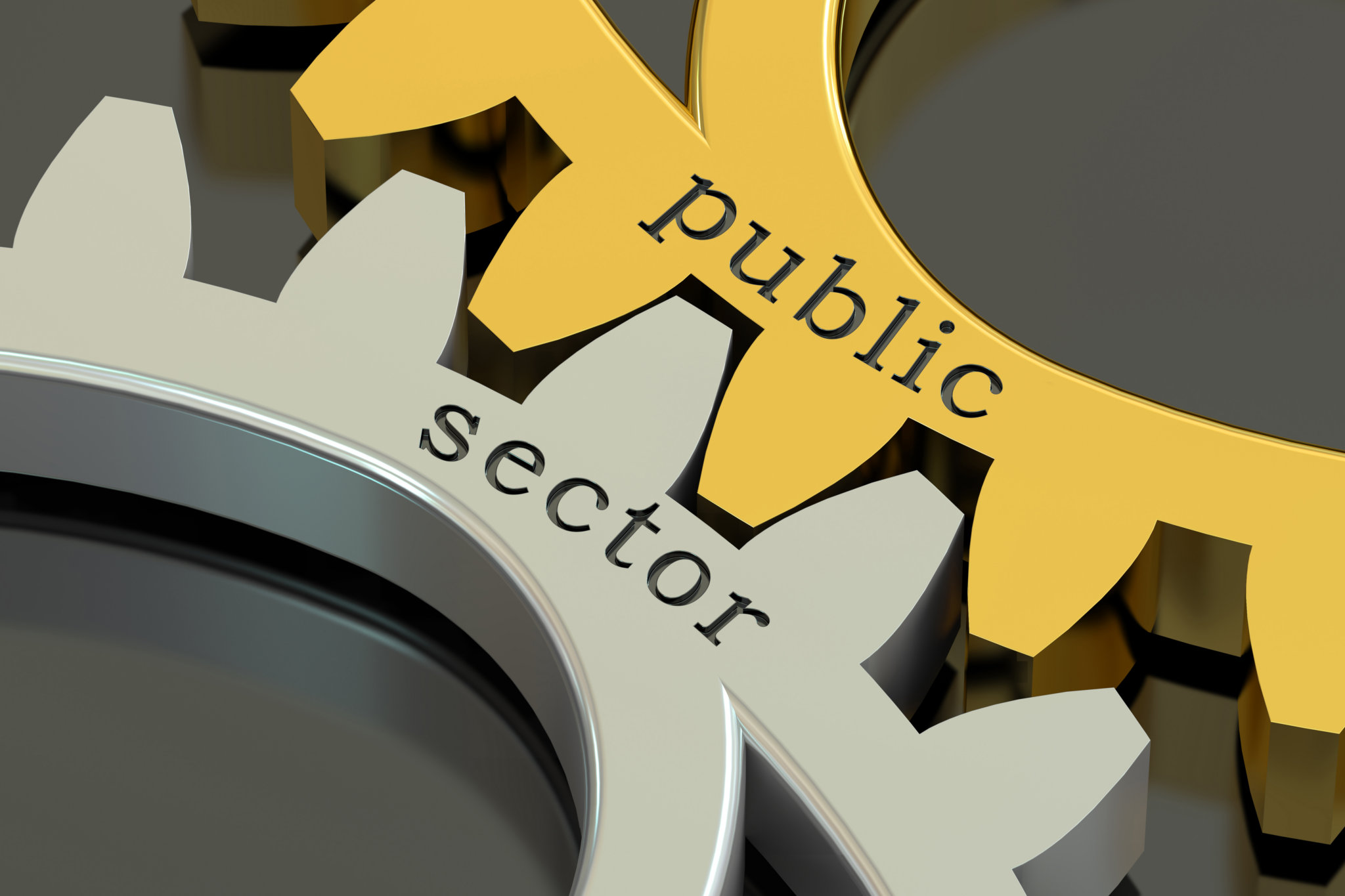 Want A Thriving Business? Focus On Public Tenders!